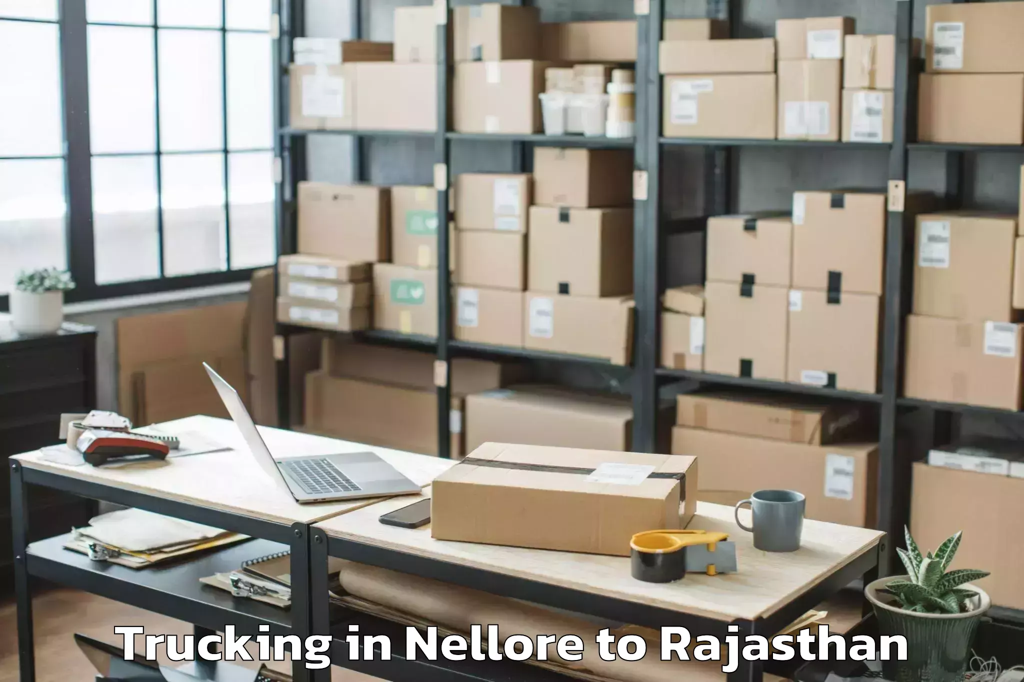 Reliable Nellore to Madanganj Kishangarh Trucking